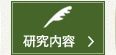 研究内容